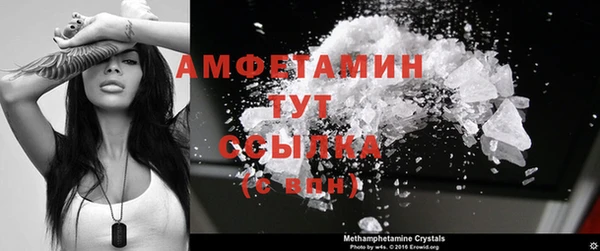 дживик Белокуриха