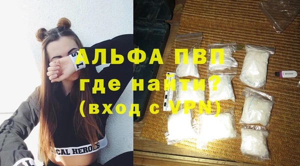 дживик Белокуриха