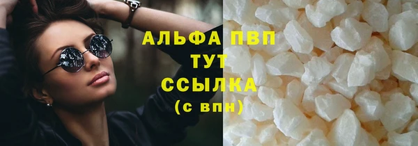 дживик Белокуриха
